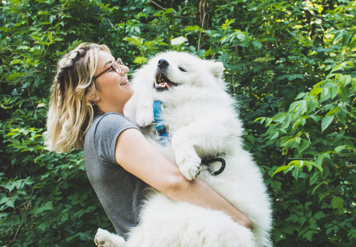 Afbeelding Rescue Pet Shop | Kwalitatieve producten voor jouw kat of hond, met een hart voor goede doelen