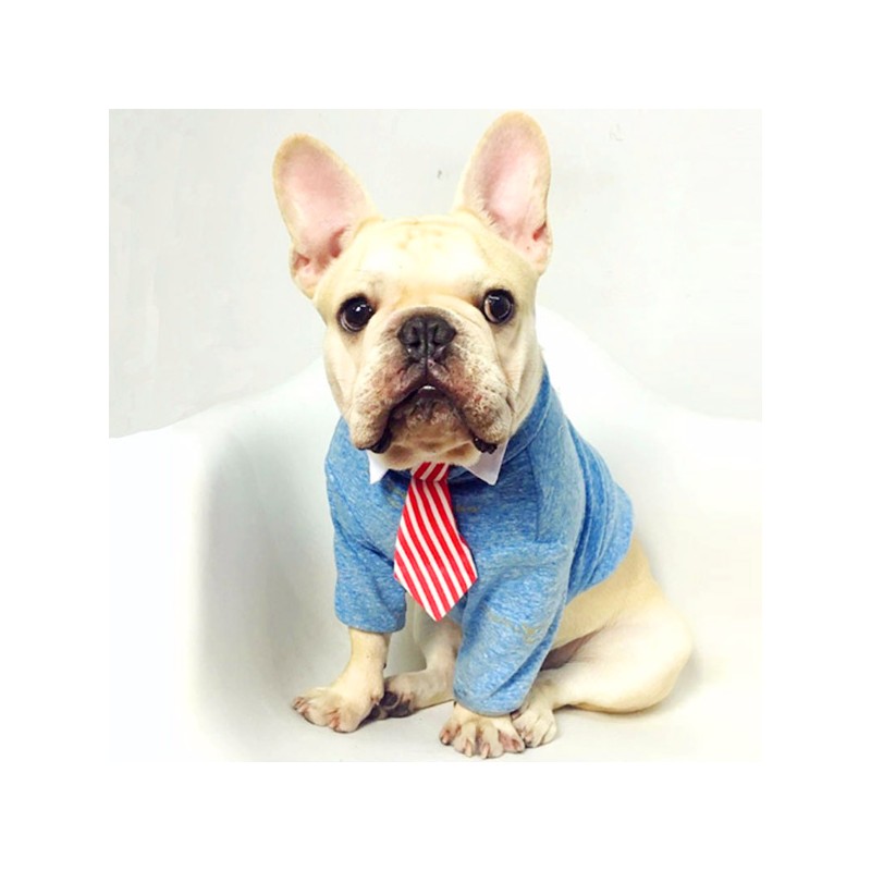 Afbeelding Hond – Rode stropdas met kraag S
