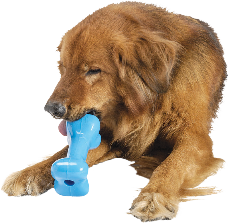 Afbeelding Rubberen Speelgoed Hond – Planet Dog – Orbee Tuff Bones M