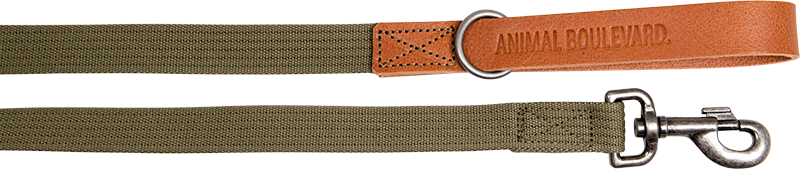 Afbeelding AB Waxed Leather With Canvas Leiband Cognac/Groen