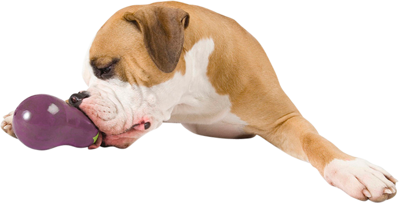 Afbeelding Rubberen Speelgoed Hond – Planet Dog – Orbee-Tuff Foodies Artisjok