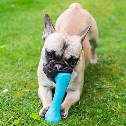 Afbeelding Speelgoed Hond – Beco Bone Blauw