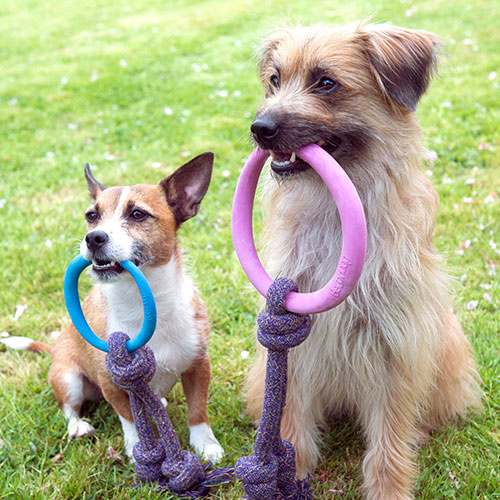 Afbeelding Beco Hoop Blauw – Speelgoed Hond