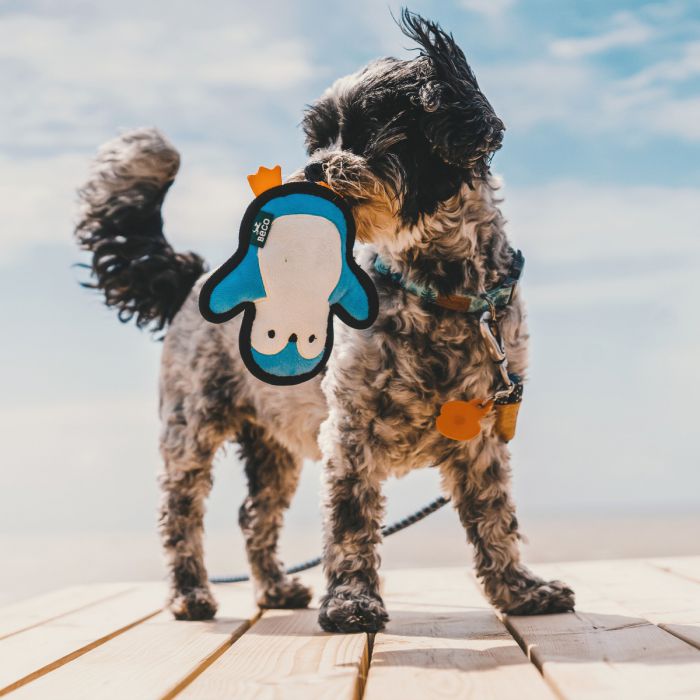 Afbeelding Knuffel Hond – Beco Plush Toy Penguin