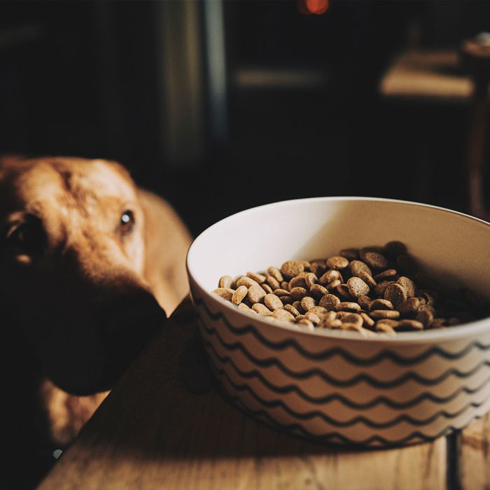Afbeelding Eet en drink kom hond – Beco Printed Bowl golven