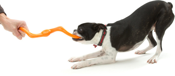 Afbeelding Zogoflex Bumi West Paw Oranje – Speelgoed Hond