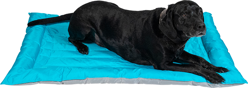 Afbeelding Kussen Hond – Cooling cushion Animal Boulevard