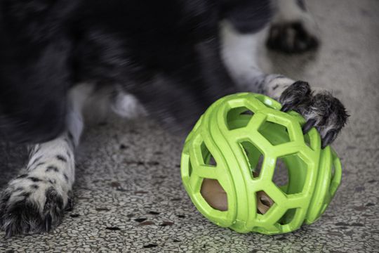 Afbeelding Dog Comets Titan Groen – Snoepjesbal Hond