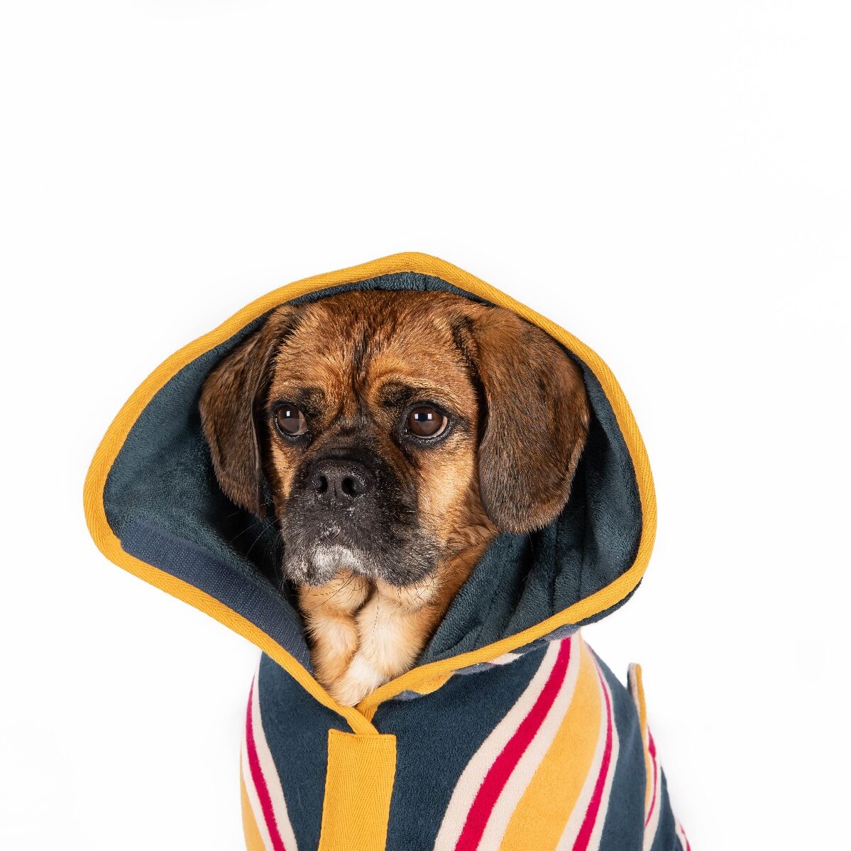 Afbeelding Badjes Ruff and Tumble Beach Collectie Hond
