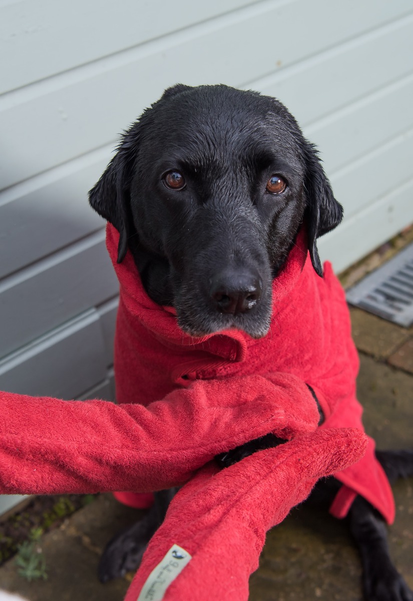 Afbeelding Droog Handschoenen Hond – Ruff and Tumble – Rood