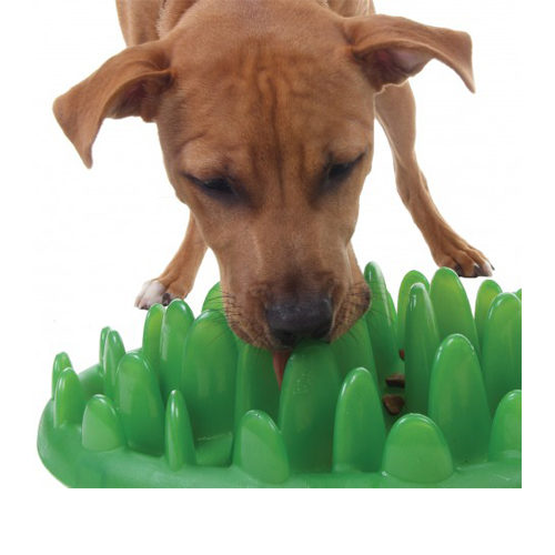 Afbeelding Green Slow Dog Feeder Normal