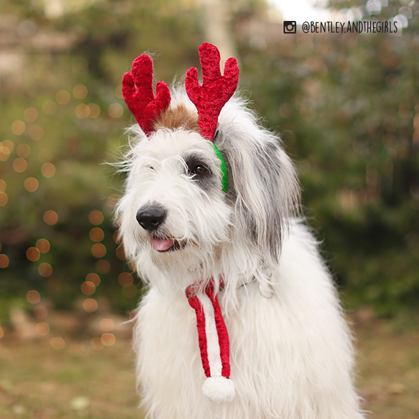 Afbeelding Kerstaccessoire Hond – Hertengewei Large