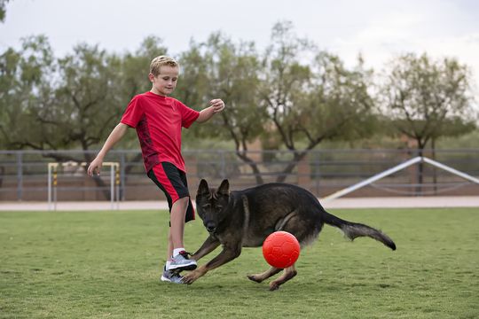 Afbeelding Speelgoed Hond – Jolly Soccer Ball Rood