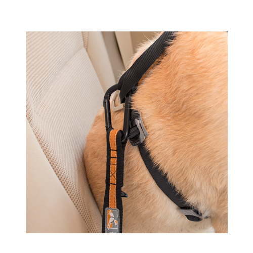 Afbeelding Kurgo Direct to Seatbelt Tether – Veiligheidsgordel Auto Hond