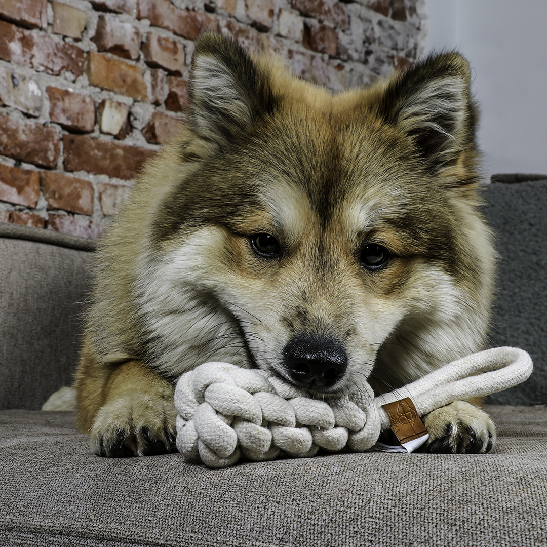 Afbeelding Kurt Gevlochten Kegel – Speelgoed Hond