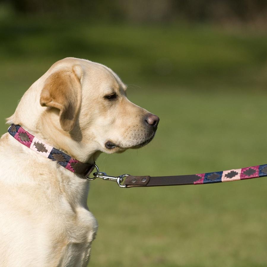Afbeelding Leiband Hond – Pioneros – beskleur/Marineblauw/Roze