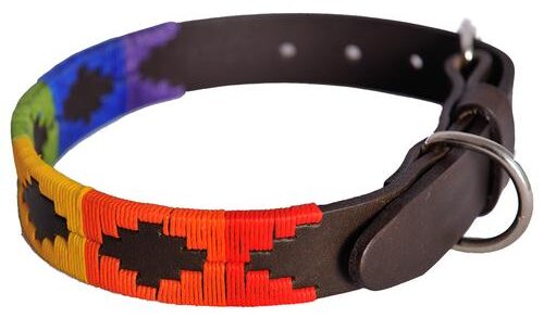 Afbeelding Halsband Hond – Pioneros Polo Dog Collar – Regenboog