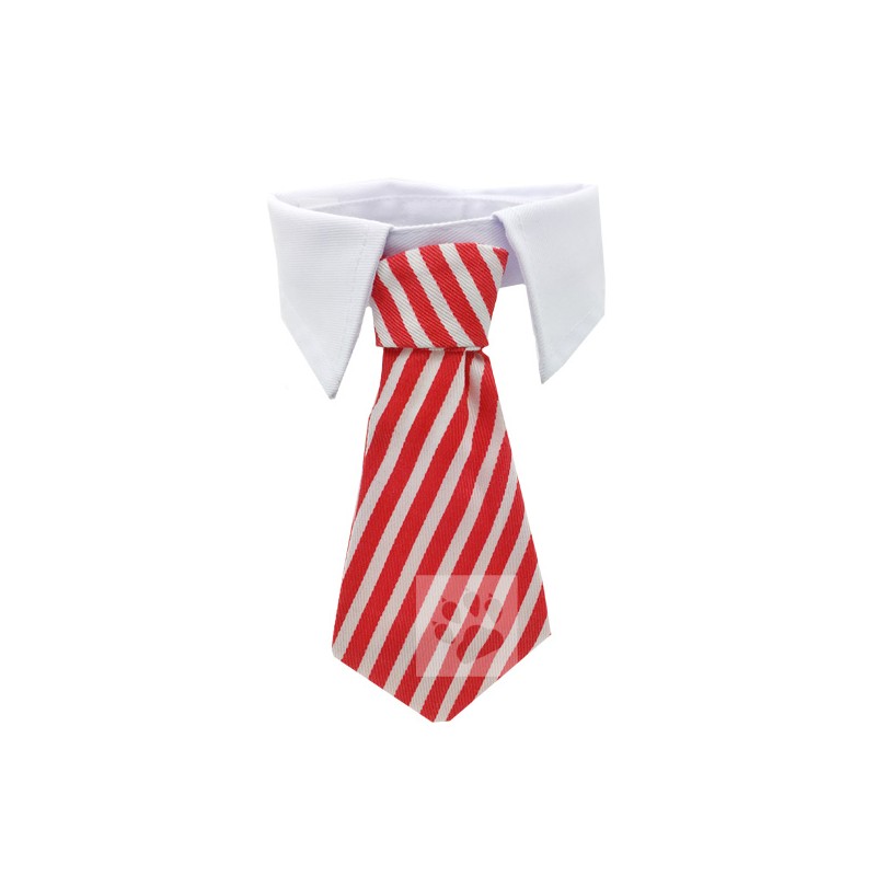 Afbeelding Hond – Rode stropdas met kraag S