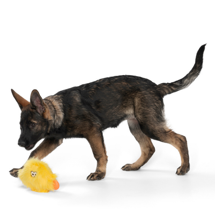 Afbeelding West Paw Rowdies Taylor geel – Stevige knuffel hond