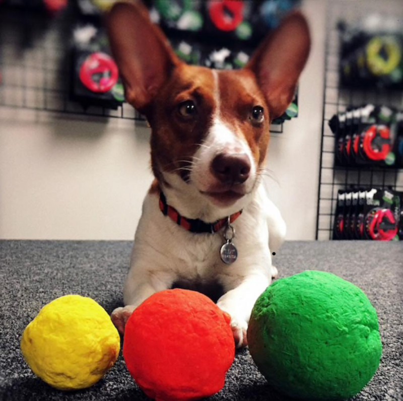 Afbeelding Onverwoestbare Wunderball – Speelgoed Hond