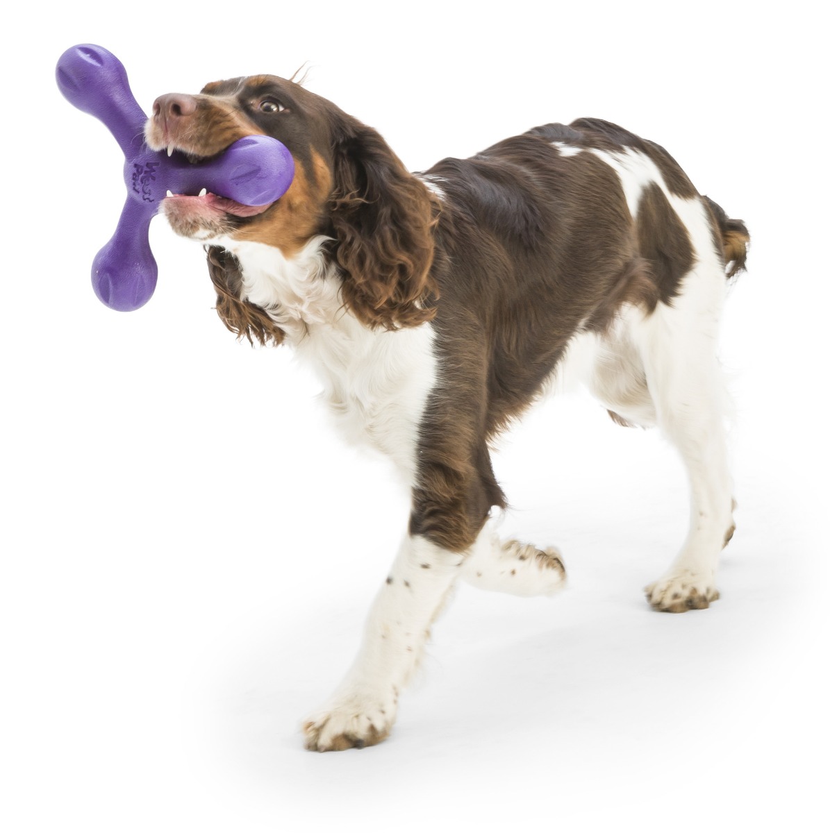 Afbeelding Zogoflex Echo Skamp Eggplant Paars – Speelgoed Hond