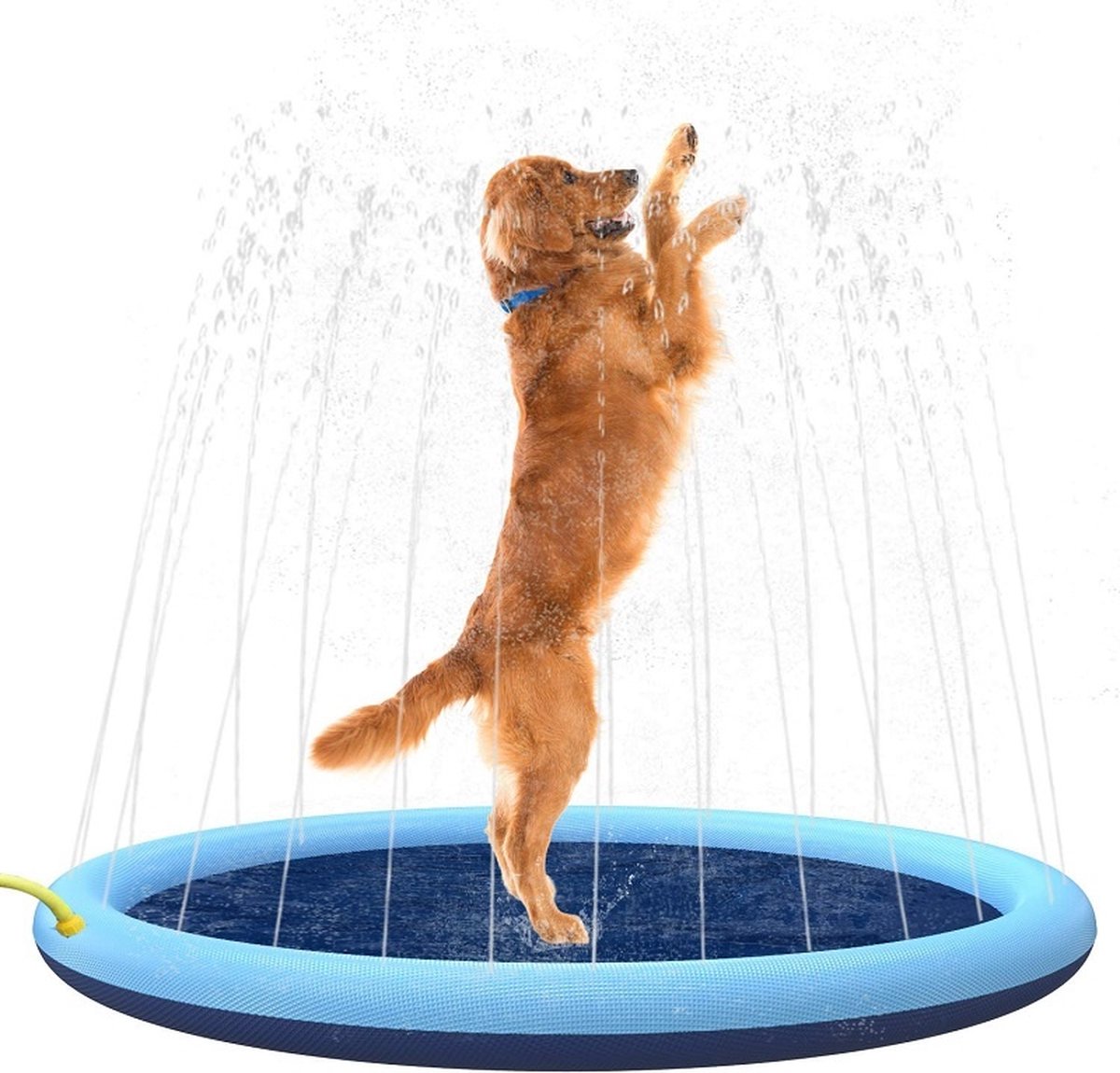 Afbeelding Animal Boulevard Sprinkler Mat – Afkoeling hond