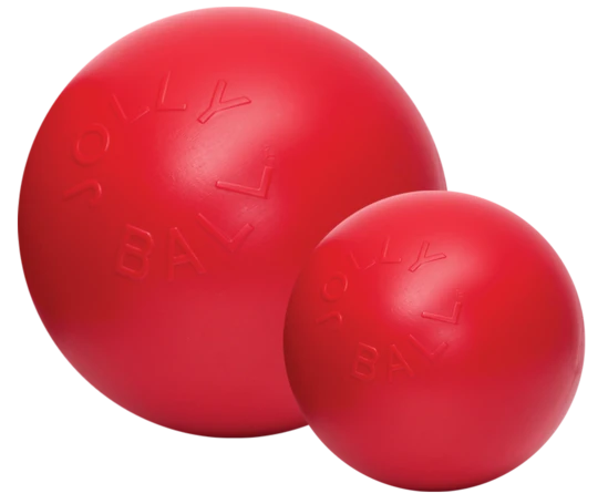 Afbeelding Jolly Ball Push-n-Play 35cm rood – Speelgoed Hond