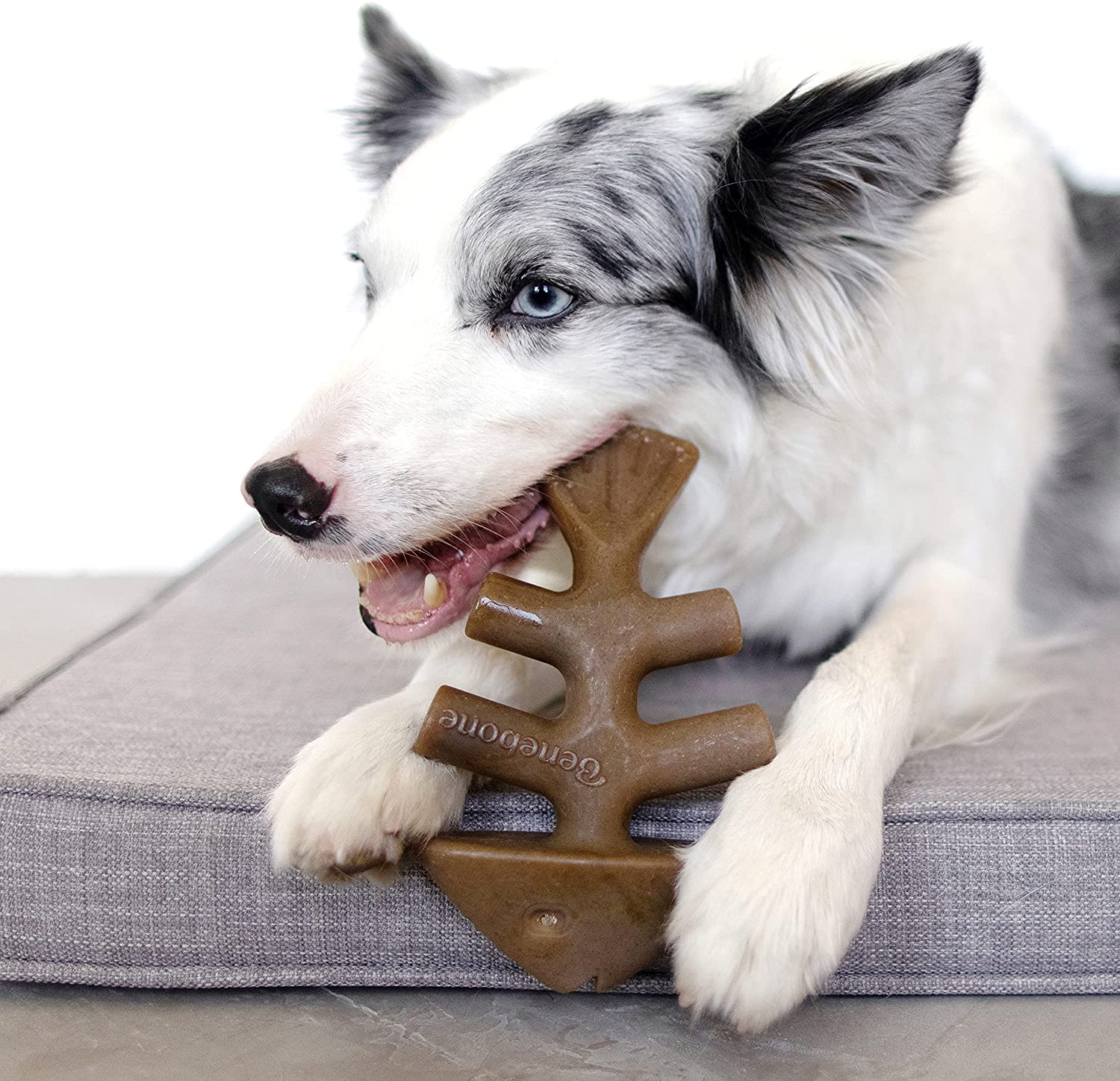 Afbeelding Benebone Fishbone Zalm – Kauwspeelgoed Hond