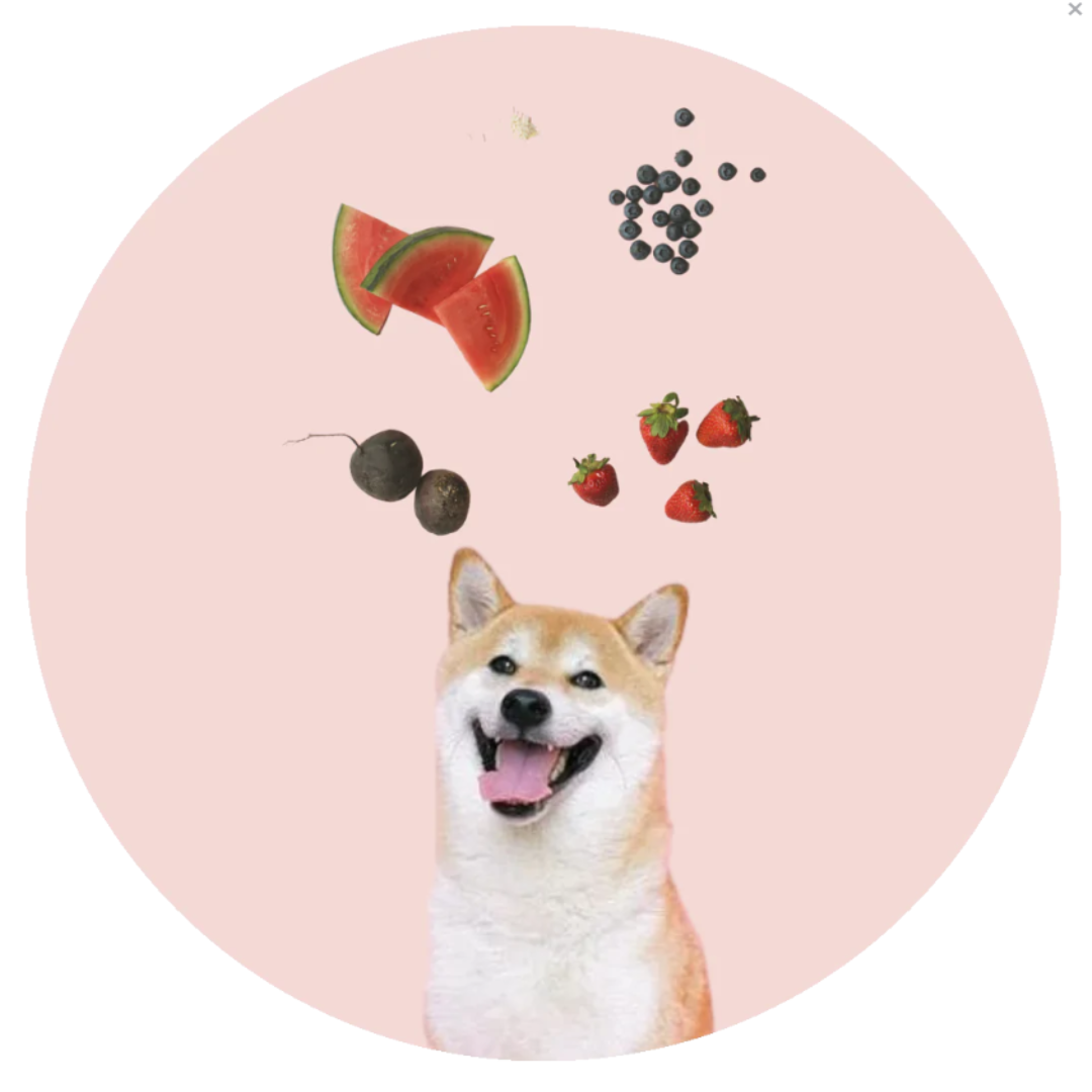 Afbeelding Van Pom Berry – Fruit mix honden ijs