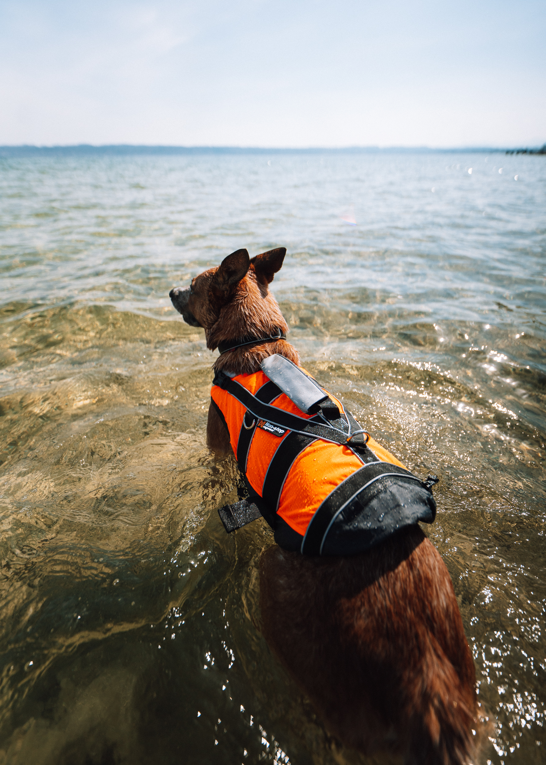 Afbeelding Non-stop Dogwear Safe Life Jacket – Zwemvest