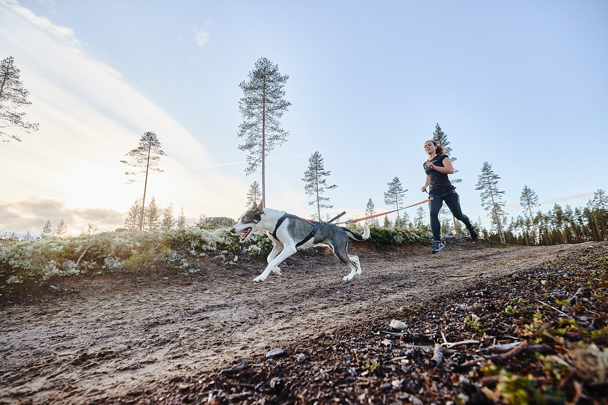 Afbeelding Non-stop Dogwear Freemotion Harness – Dog Joring Harness