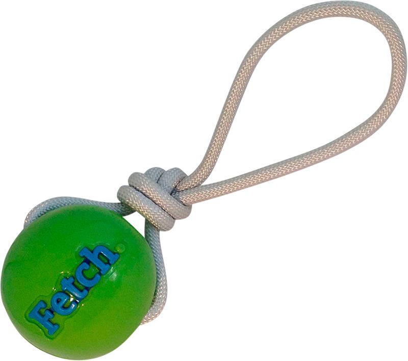 Afbeelding Planet Dog Fetch Ball Groen