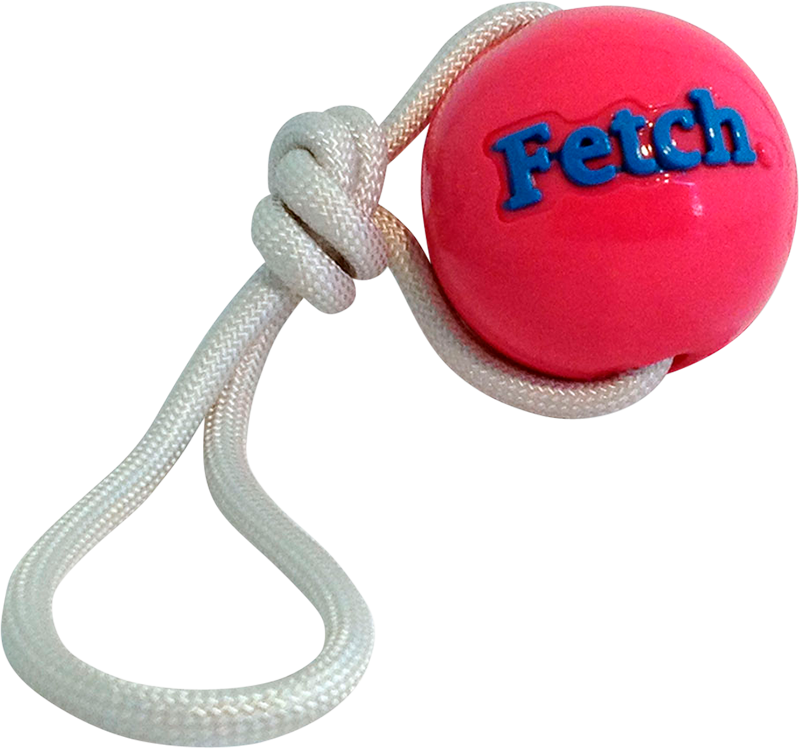 Afbeelding Planet Dog Fetch Ball Roze