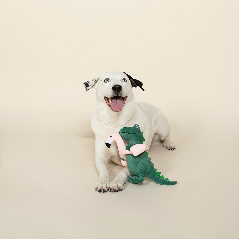 Afbeelding Pool Time Rex – Knuffel Hond Fringe