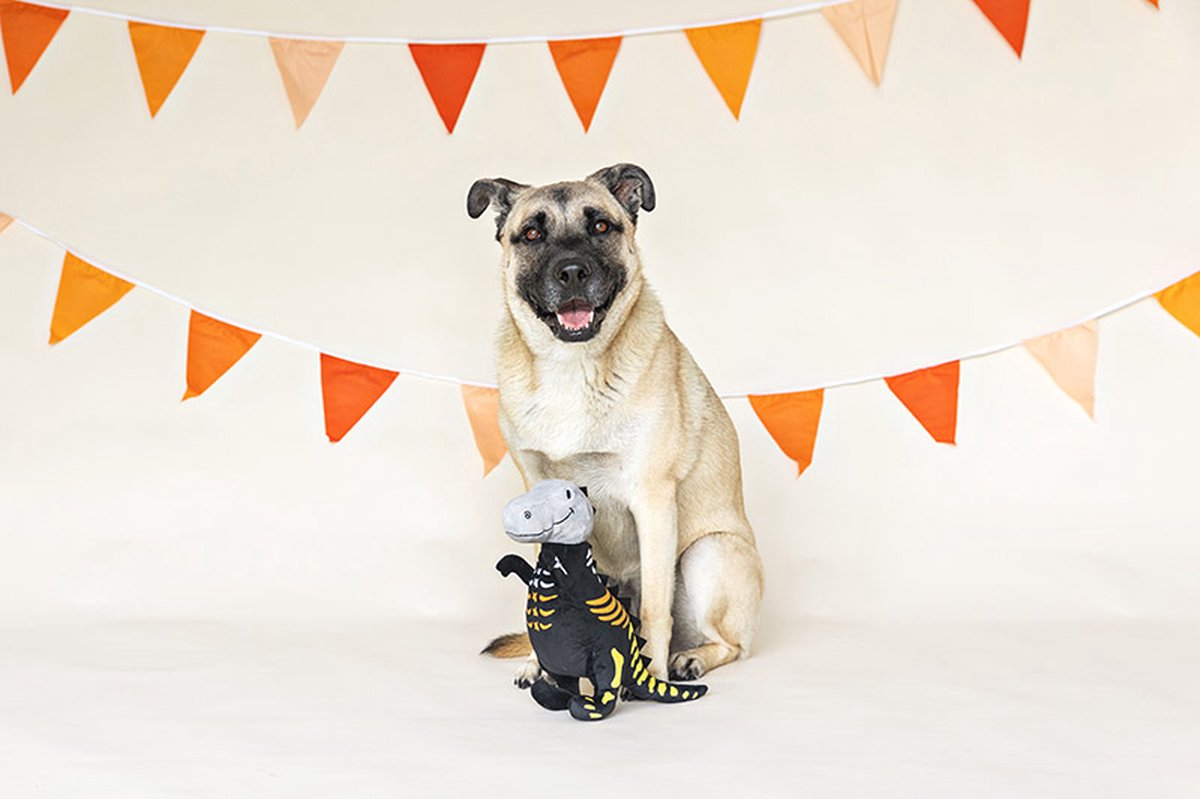 Afbeelding Skele-fun! Fringe Halloweenknuffel Hond