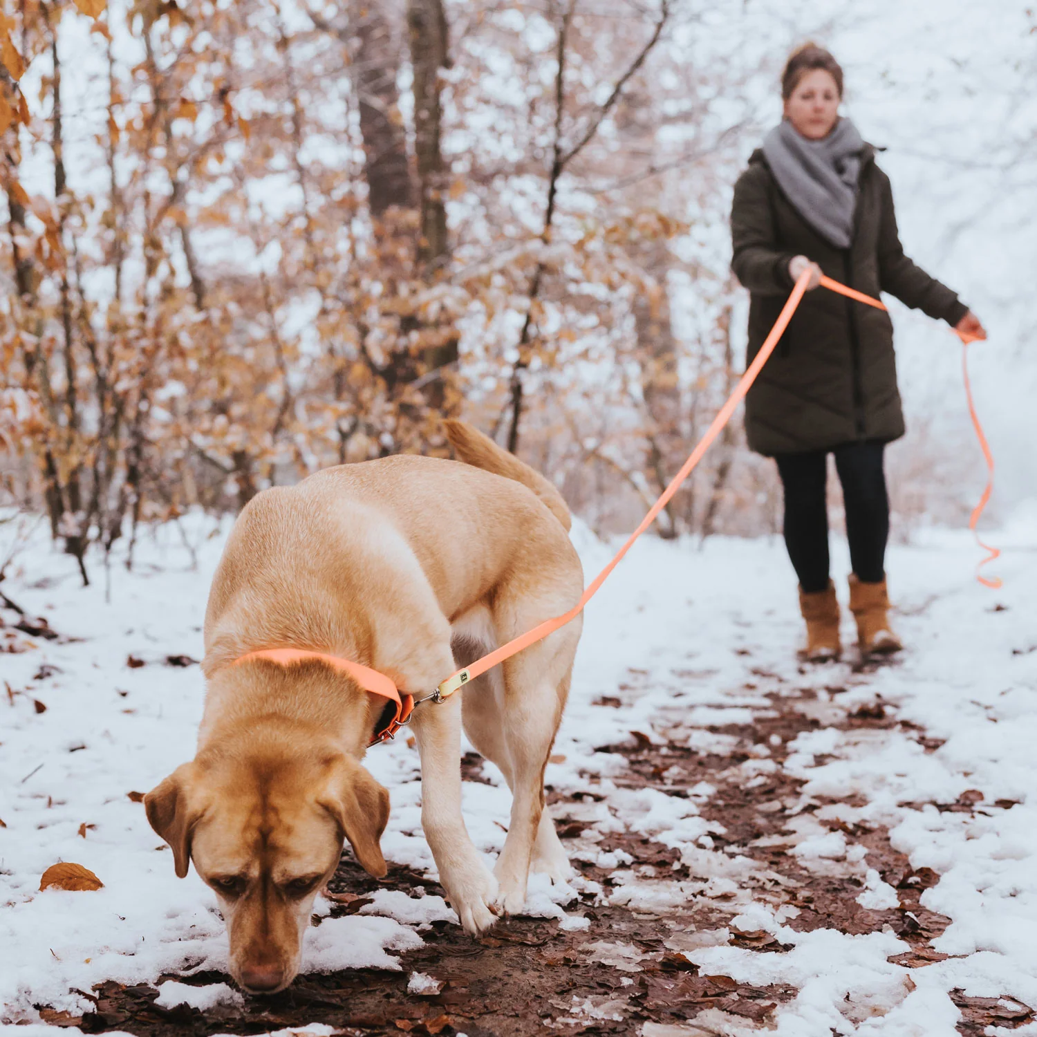 Afbeelding Hunter Tracking Leash Convenience – Framboos