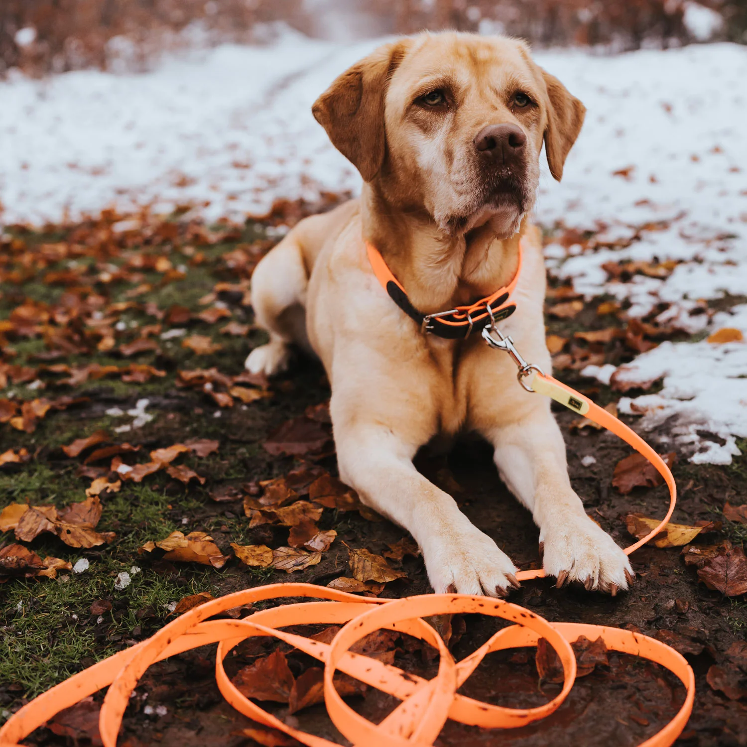 Afbeelding Hunter Tracking Leash Convenience – Framboos
