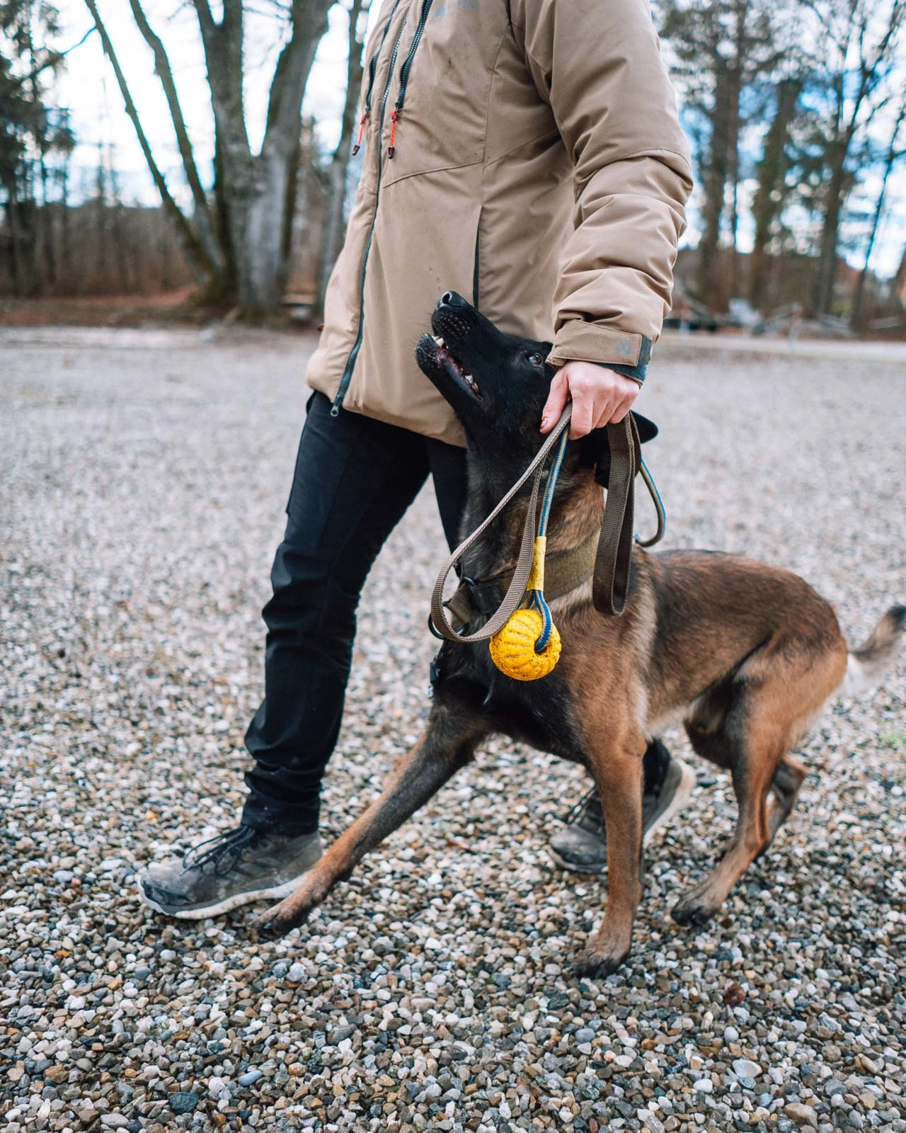 Afbeelding Non-Stop Dogwear Solid Leash Working Dog