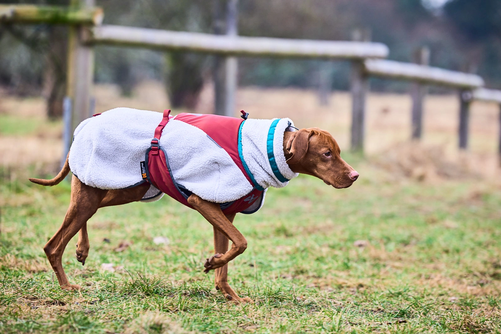 Afbeelding Non-Stop Dogwear Trekking Fleece Jacket