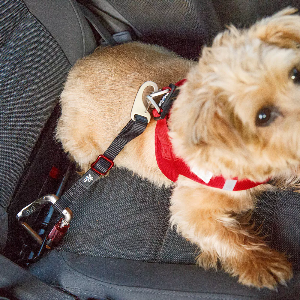Afbeelding Curli Car Safety Belt – veiligheidsgordel Hond