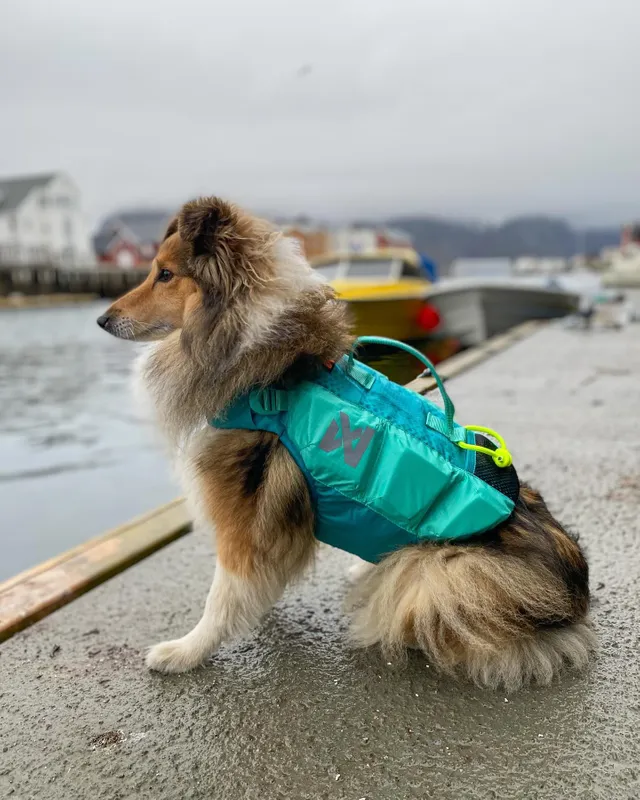 Afbeelding Non-stop Dogwear Protector Life Jacket – Zwemvest