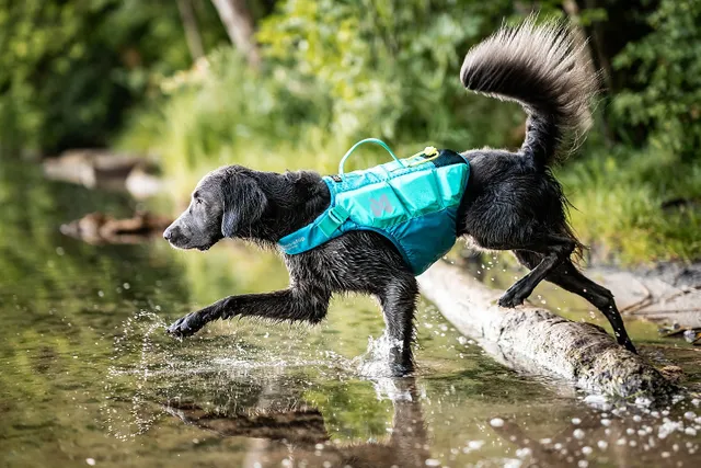 Afbeelding Non-stop Dogwear Protector Life Jacket – Zwemvest