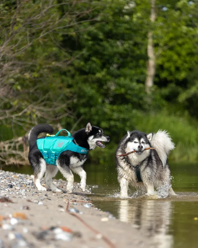 Afbeelding Non-stop Dogwear Protector Life Jacket – Zwemvest