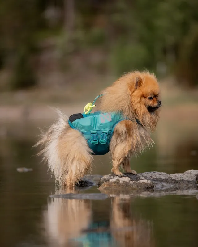 Afbeelding Non-stop Dogwear Protector Life Jacket – Zwemvest