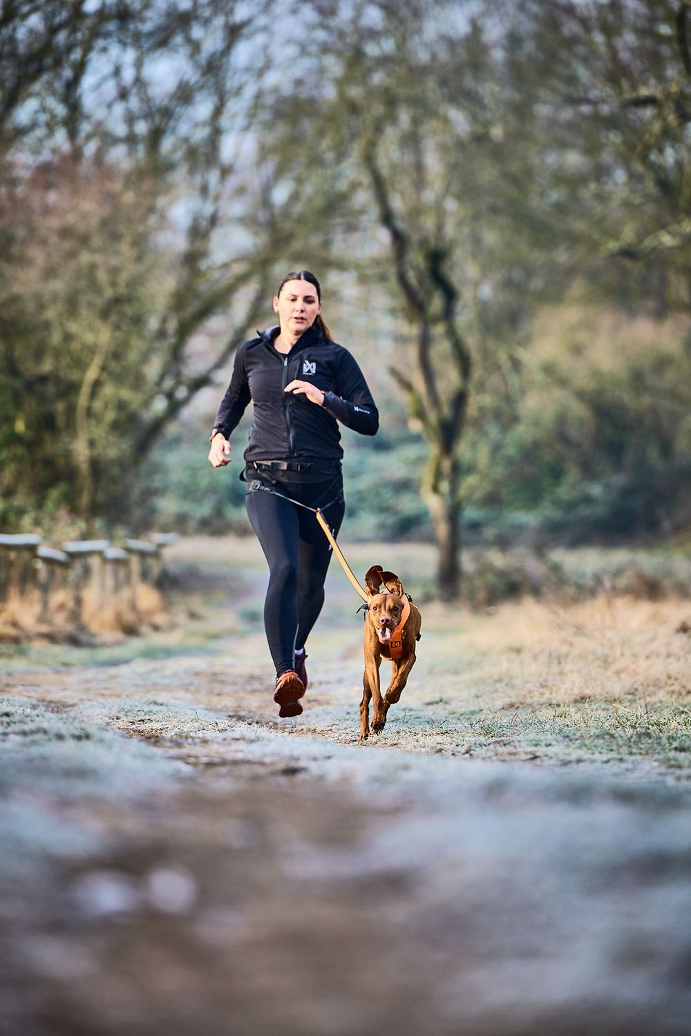 Afbeelding CaniX belt 2.0 – Loopgordel Non-stop dogwear