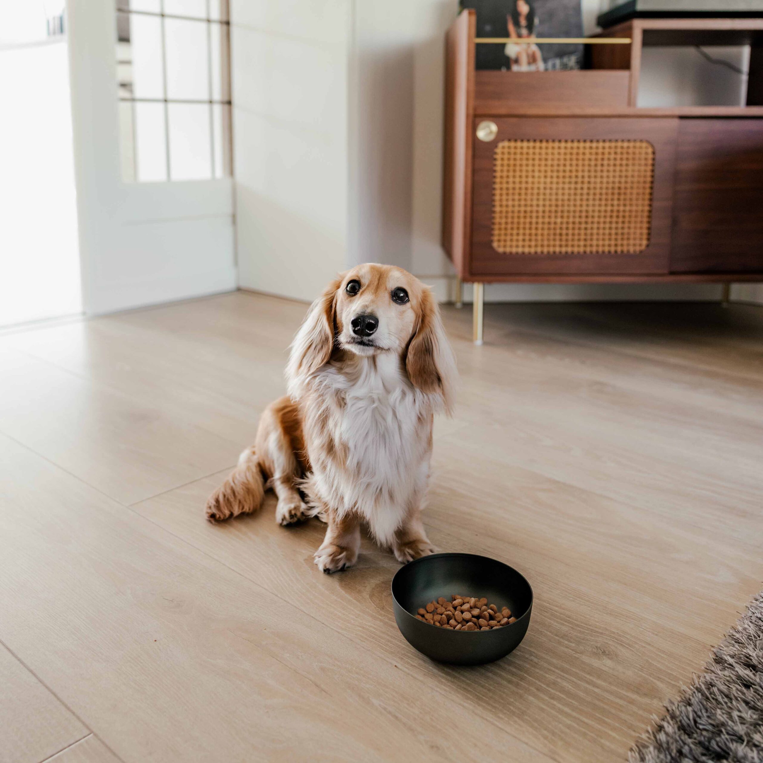 Afbeelding District 70 – ROYAL Roestvrijstalen Hondenvoerbak – Antraciet