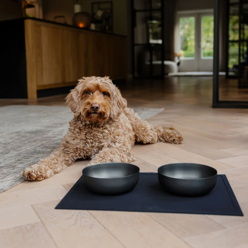 Afbeelding District 70 – ROYAL Roestvrijstalen Hondenvoerbak – Antraciet