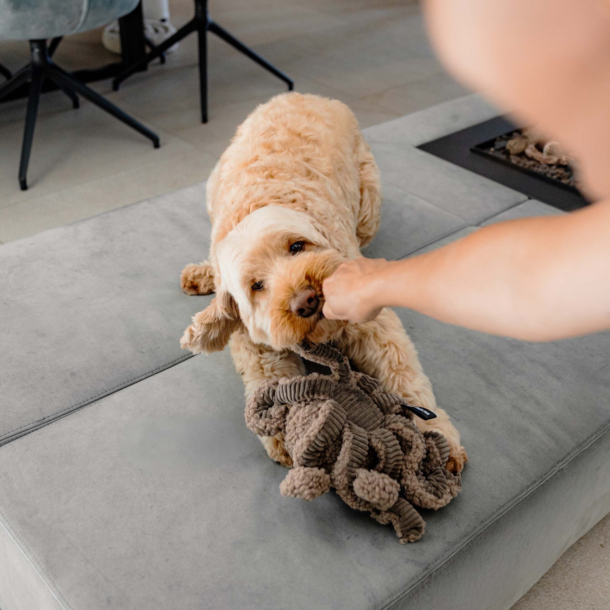 Afbeelding District 70 – SQUID Plush Dog Toy – Taupe – 13 x 20 cm