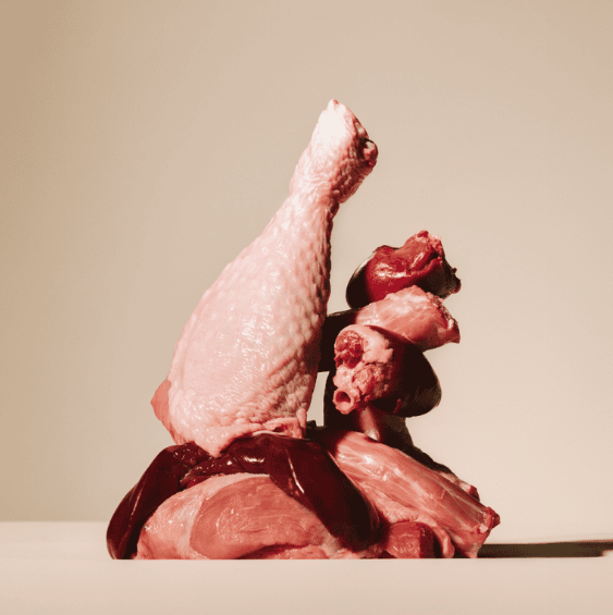 Afbeelding Carnilove New Era Blikvoer Turkey, Reindeer and Wild Boar 400 g