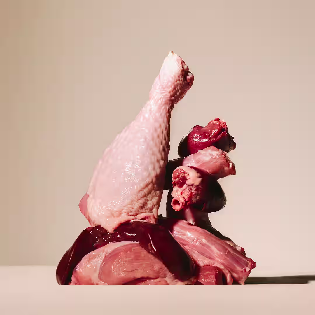 Afbeelding Carnilove New Era Pouch Turkey and Venison with Stawberry Leaves